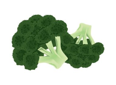 دانلود آیکون کلم بروکلی نماد سبزیجات