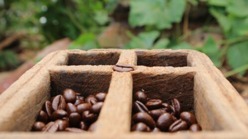 دانلود عکس دانه های قهوه در پس زمینه تار جعبه چوب ساج