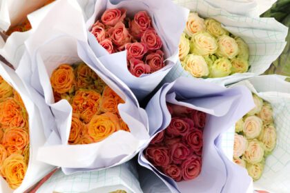 دانلود عکس گل رز رنگارنگ زیبا پیچیده شده در کاغذ برای فروش در گل