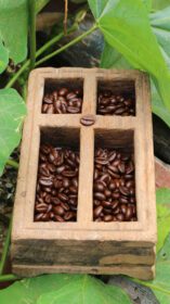 دانلود عکس دانه های قهوه در جعبه های چوب ساج پس زمینه برگ سبز