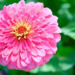 دانلود طرح تابلو