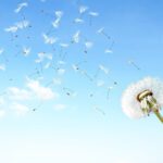 دانلود قالب کارت ویزیت خلاقانه کارت ویزیت دو رو