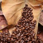 سبد خرید و پرداخت