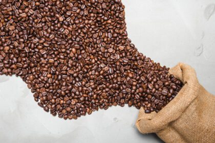 دانلود عکس دانه های قهوه برشته شده در گونی با نمای بالای تخت با فضای کپی