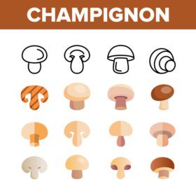 دانلود آیکون Champignon خوراکی قارچ وکتور آیکون های خطی مجموعه