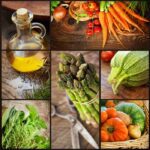 دانلود طرح حاشیه با تصویر حیوانات وحشی