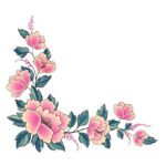 سبد خرید و پرداخت
