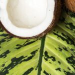 سبد خرید و پرداخت