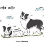 سبد خرید و پرداخت