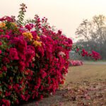 دانلود آیا روی پروژه شهری کار می کنید دانلود این مجموعه بنرهای شهری برای به تصویر کشیدن و تزیین کار شما این مجموعه شامل دو بنر مختلف در نسخه های رنگی و سیاه و سفید می باشد.