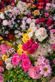 دانلود عکس بسیاری از گل های مصنوعی رنگارنگ در حال شکوفه دادن پس زمینه