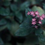 دانلود وکتور گرانج بافت آبی پس زمینه گرانج در رنگ آبی و بژ