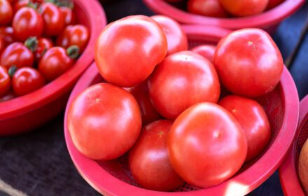 دانلود عکس خوشمزه گوجه فرنگی تازه غذای سبزیجات میوه ای در پلاستیک قرمز