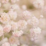 سبد خرید و پرداخت