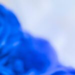 دانلود وکتور موجود در این فایل تصویری از درخت صمغ در کنار رودخانه وکتور رایگان عالی برای طبیعت شما یا تصویر وحشی است.