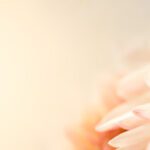 دانلود طرح کاغذ دیواری طاووس ماگنولی بزرگ