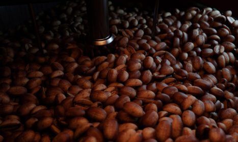 دانلود عکس دانه های قهوه تازه روی اجاق برشته کننده برای خشک کردن یا برشته کردن قهوه