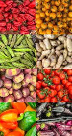 دانلود عکس کلاژ غذا سبزیجات انواع مختلف میوه روی