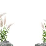 سبد خرید و پرداخت