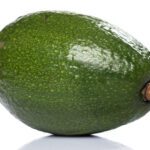 وکتور ده تکه ایزوله شده برای ویرایش آسان