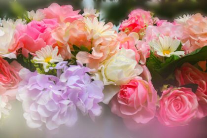 دانلود عکس گل های رز صورتی شکوفه و نور ملایم در باغ