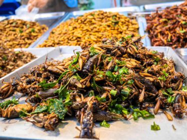 دانلود عکس حشرات سرخ شده در بازار شبانه غذای خیابانی تایلند