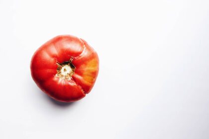 دانلود عکس باغچه گوجه قرمز روی پس زمینه سفید از بالا غذای ارگانیک