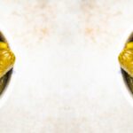 سبد خرید و پرداخت