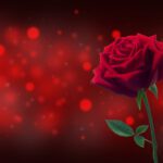 دانلود عکس پس زمینه تخته های چوبی آبی قدیمی و آبی گرانج رنگی