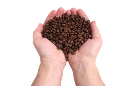 دانلود عکس مشتی از دانه های قهوه در دستانش روی پس زمینه سفید