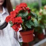 دانلود وکتور دوچرخه با محیط شهر سبز و اکولوژی