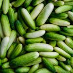 دانلود عکس انبوهی از خیار سبز تازه در مزرعه کشاورزی خیار است