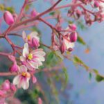 دانلود مجموعه بنر عید مبارک