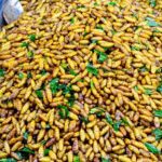 دانلود قالب گزینه های حداقل اینفوگرافیک با نمودار پای و دایره ها برای 6 گزینه. وکتور می تواند برای طراحی وب و طرح گردش کار مورد استفاده قرار گیرد