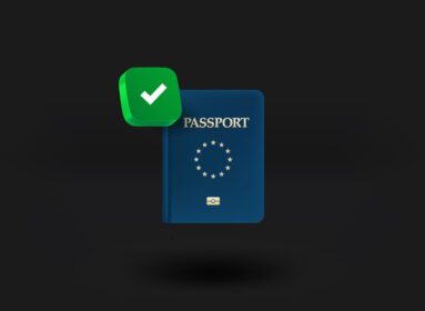 دانلود آیکون پاسپورت اروپایی با علامت تیک آیکون تصویر برداری سه بعدی