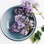 دانلود وکتور سبزیجات تازه پاشیدن یخ به آب شفاف آبی رنگ غذای سالم رژیم غذایی مفهوم تازگی جدا شده پس زمینه سفید تصویر برداری واقعی