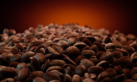 دانلود عکس تعداد زیادی از دانه های قهوه تازه برشته شده بو داده نشده