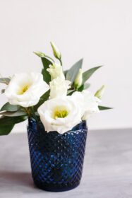 دانلود عکس گل های سفید در شیشه آبی کلاسیک lisianthus eustoma