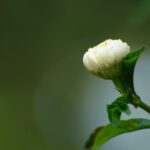 دانلود طرح تابلو