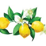 دانلود کاغذ دیواری نقاشی سه بعدی روغن