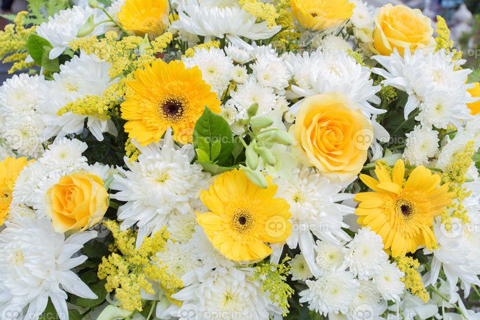 دانلود عکس گل رز گل داوودی زرد و سفید تزیین شد