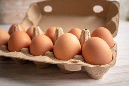 دانلود عکس تخم مرغ تازه ارگانیک در بسته بندی ظروف مقوایی ارگانیک