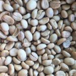 سبد خرید و پرداخت