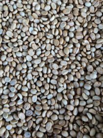 دانلود عکس دانه قهوه ارگانیک آسیایی روی سبد حصیری