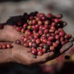سبد خرید و پرداخت