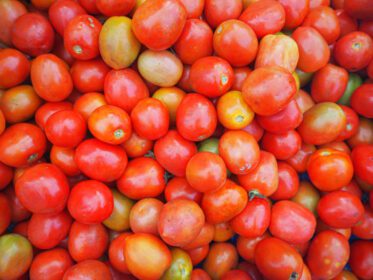 دانلود عکس انبوه گوجه قرمز برای فروش در بازار