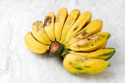 دانلود عکس pisang kepok kuning musa acuminata