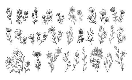 دانلود مجموعه وکتور عناصر گل وینتیج مجموعه زیبای ابله