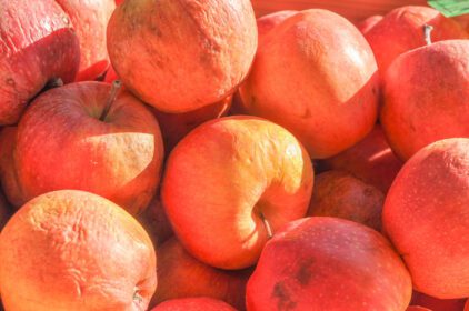 دانلود عکس میوه سیب قرمز غذای سالم غذای گیاهی