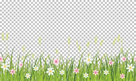 دانلود تصویر عنصر تزئین کارت تبریک عید پاک حاشیه چمن و گل بهاری جدا شده در پس زمینه شفاف